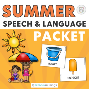 Summer Themed Speech and Language Packet