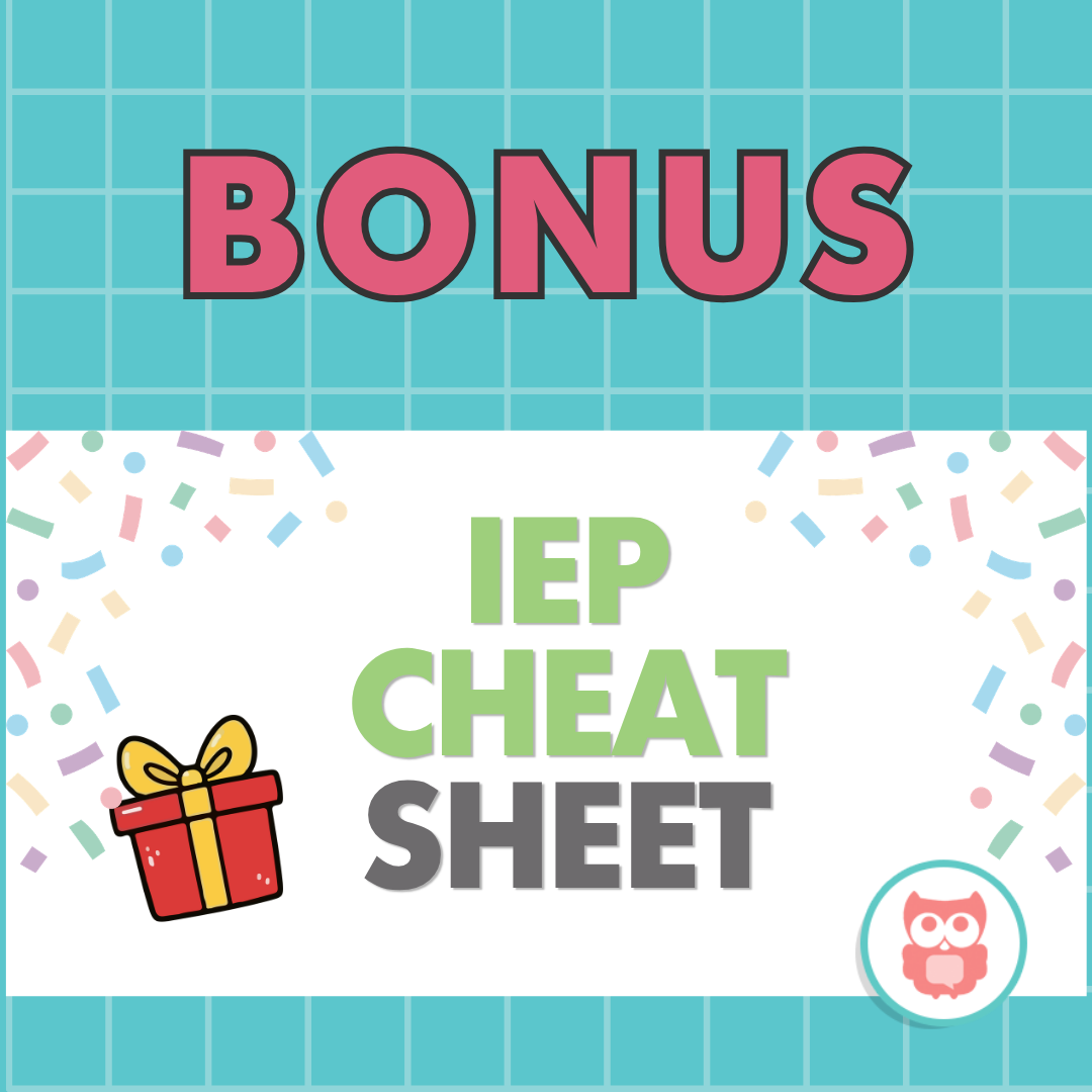 BONUS Exclusive IEP Cheat Sheet