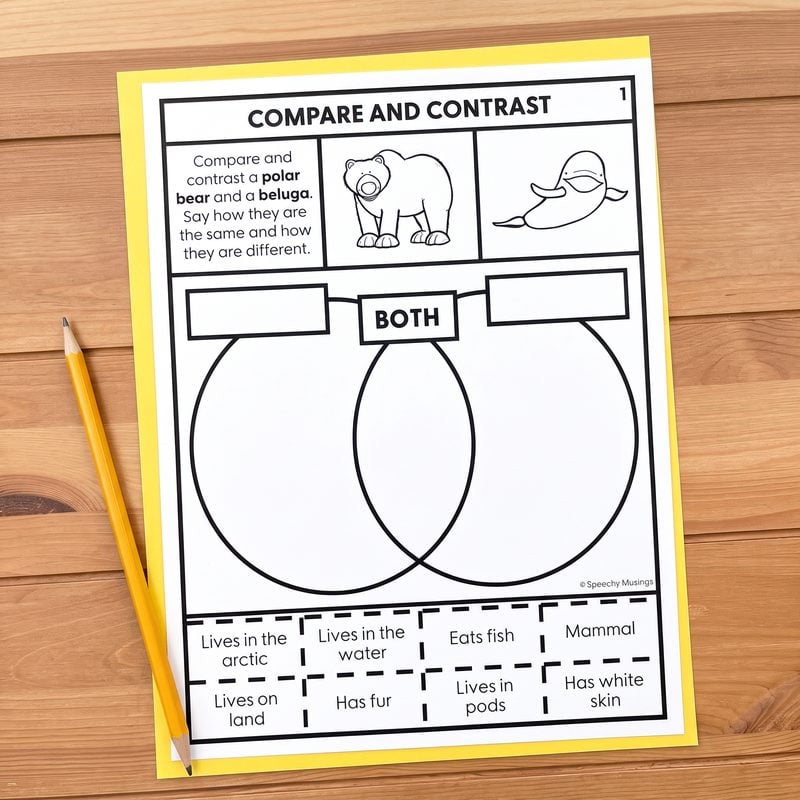 Compare and contrast Venn diagram worksheet with a polar bear and a beluga