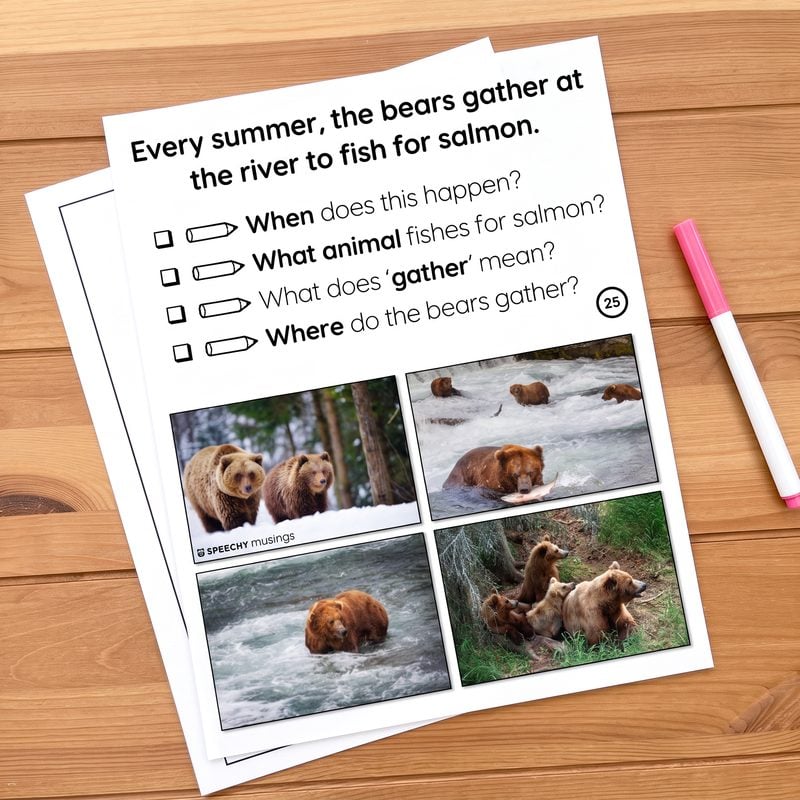 WH question page with real bear photos from the Bears Themed Language Unit