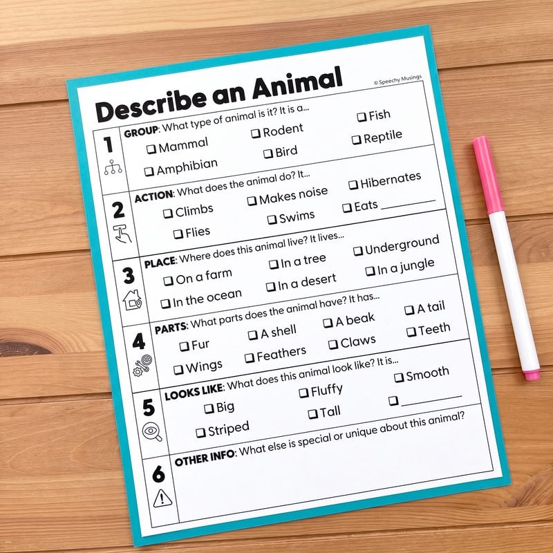Describe an Animal worksheet with checkbox supports from the Bears Themed Language Unit