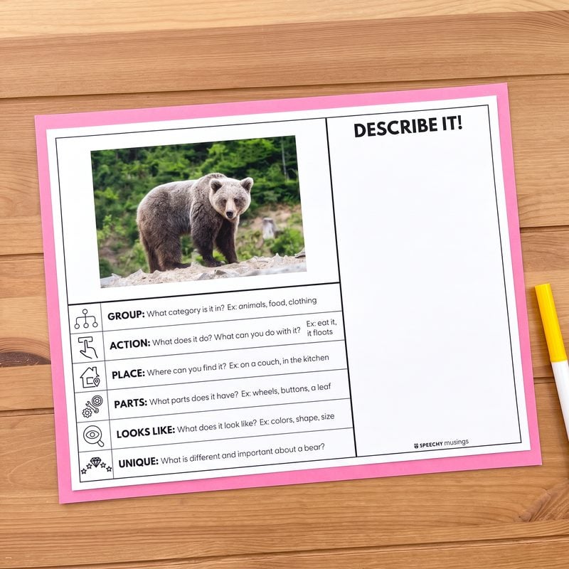 Describe It worksheet with a bear photo from the Bears Themed Language Unit